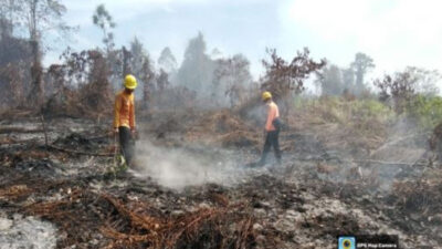 BNPB Catat Karhutla Meluas di Tiga Provinsi dan Gempa Halmahera Barat, Masyarakat Diimbau Tetap Waspada