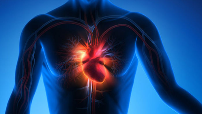 Penyakit Jantung: Genetik atau Gaya Hidup? Ini Kata Ahli