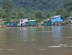 Operasi PETI Kapuas Polda Kalbar Tangkap 56 Pelaku, Tapi Mafia Emas Besar Masih Belum Tersentuh