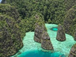 Standar Ganda NGO Jenewa? Bappenas Tepis Tudingan Miring Isu HAM Papua di Internasional