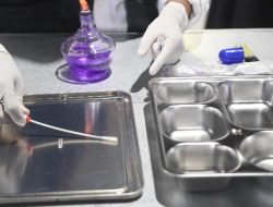 Program Makan Bergizi Gratis Jangkau 36,7 Juta Penerima, Kepala BGN Soroti Dampak Ekonomi dan Lapangan Kerja