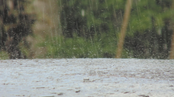 Hujan Mikroplastik Jakarta: Akar Masalah Pengelolaan Sampah