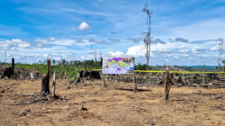 2.390 Hektare Hutan Lanskap Seblat Berhasil Dikuasai Kemenhut