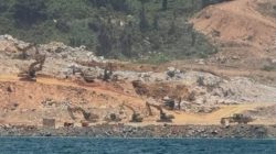 Kawasan Konservasi Pulau Pelapis Dan Karimata Terancam Dampak Industri Skala Besar