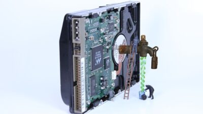 Kebocoran Data, BKN Minta Seluruh ASN Ubah Pasword