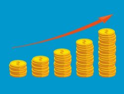 MUI Minta Pemerintah Menunda Kenaikan PPN 12 Persen