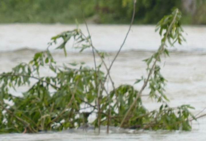 Bantuan Bencana: 4 Pesawat Militer Dikerahkan ke Sumatra